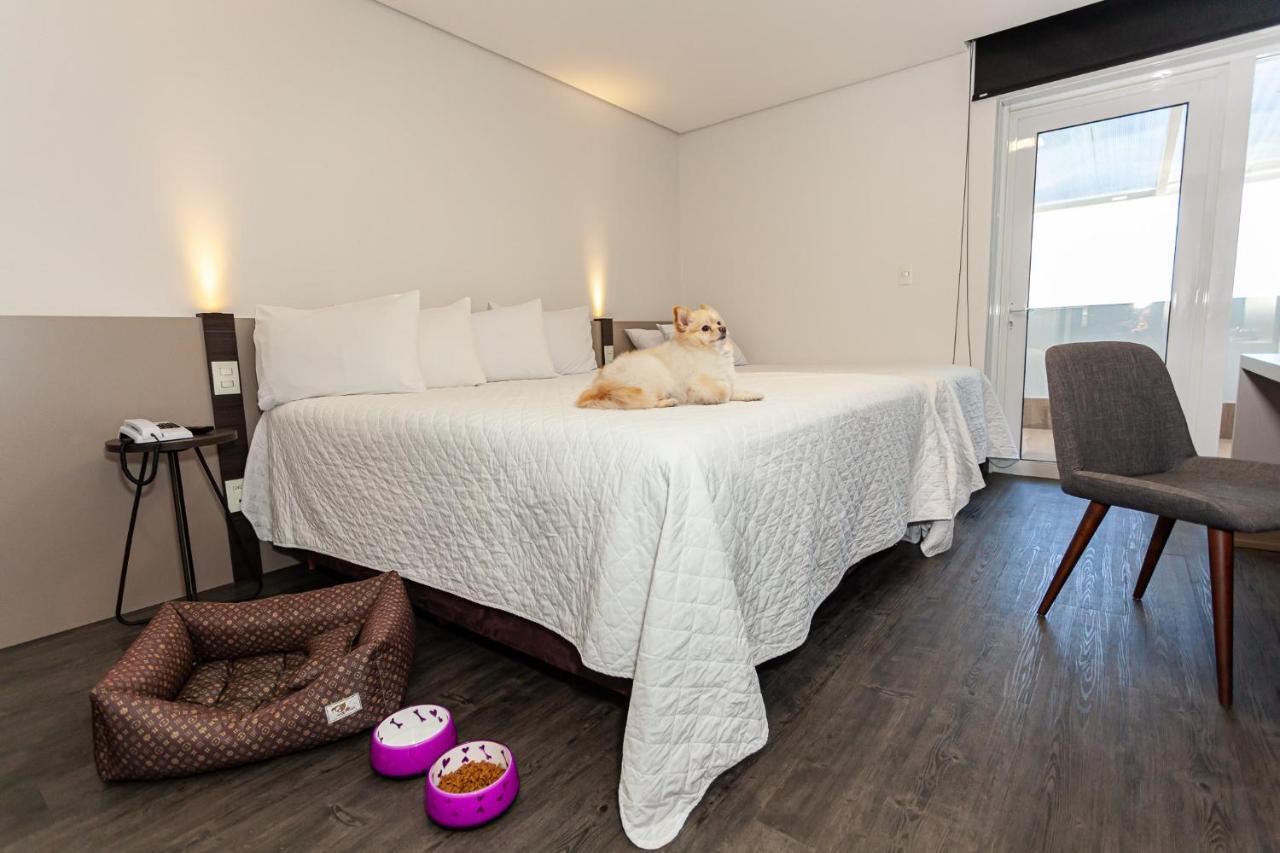 Travel Inn Hotels Caxias Do Sul Eksteriør billede
