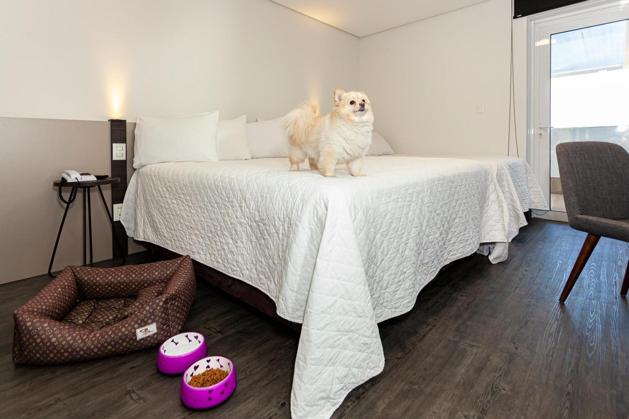 Travel Inn Hotels Caxias Do Sul Eksteriør billede